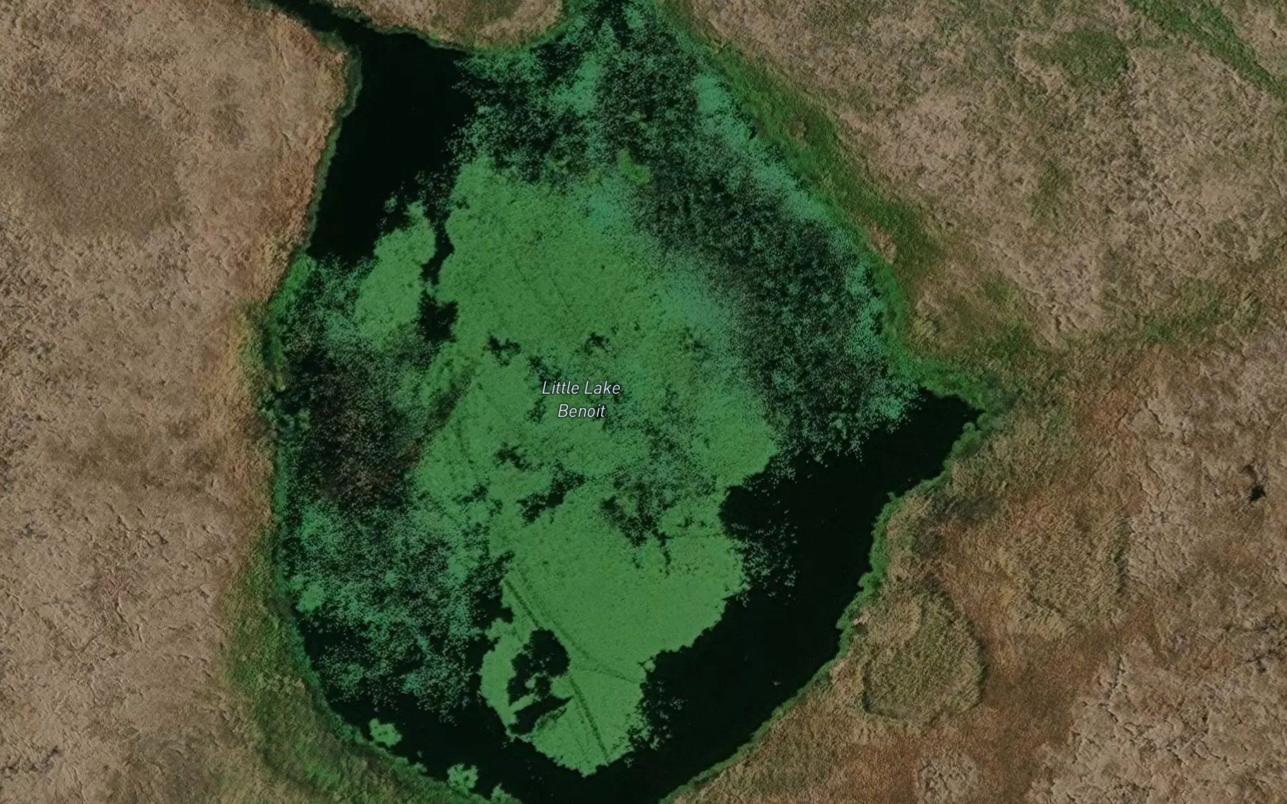 Little Lake Benoit
