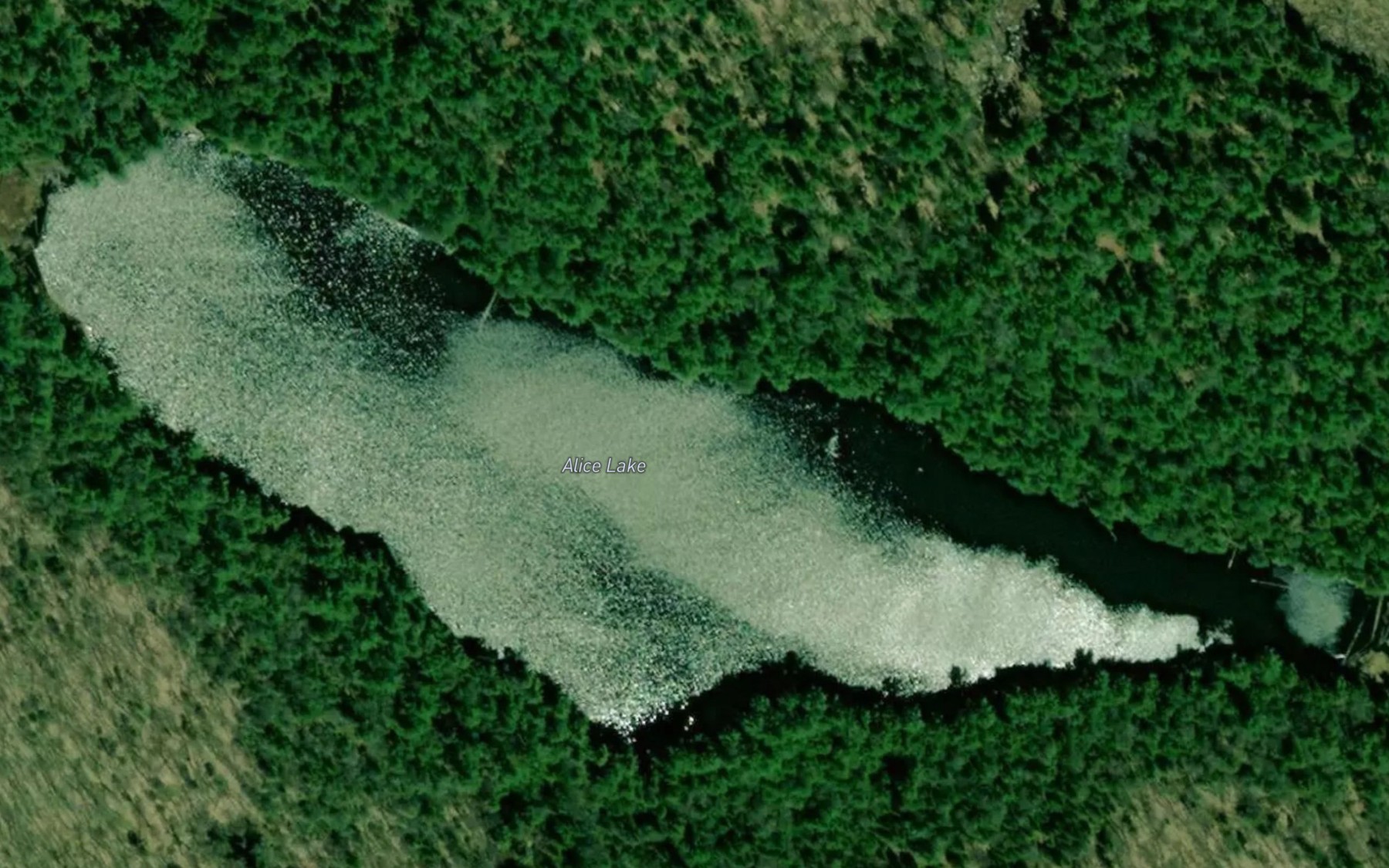 Satellite map of the Alice Lake