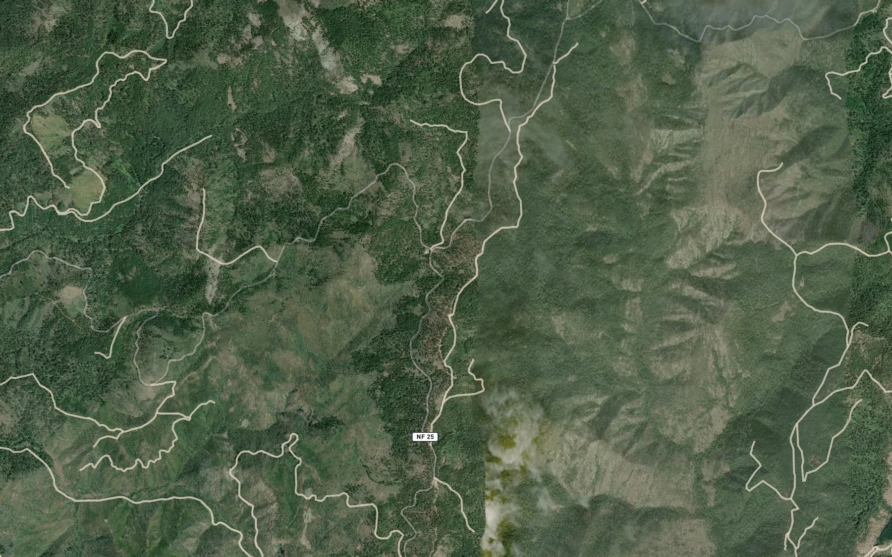 Satellite map of the Rattlesnake Spring