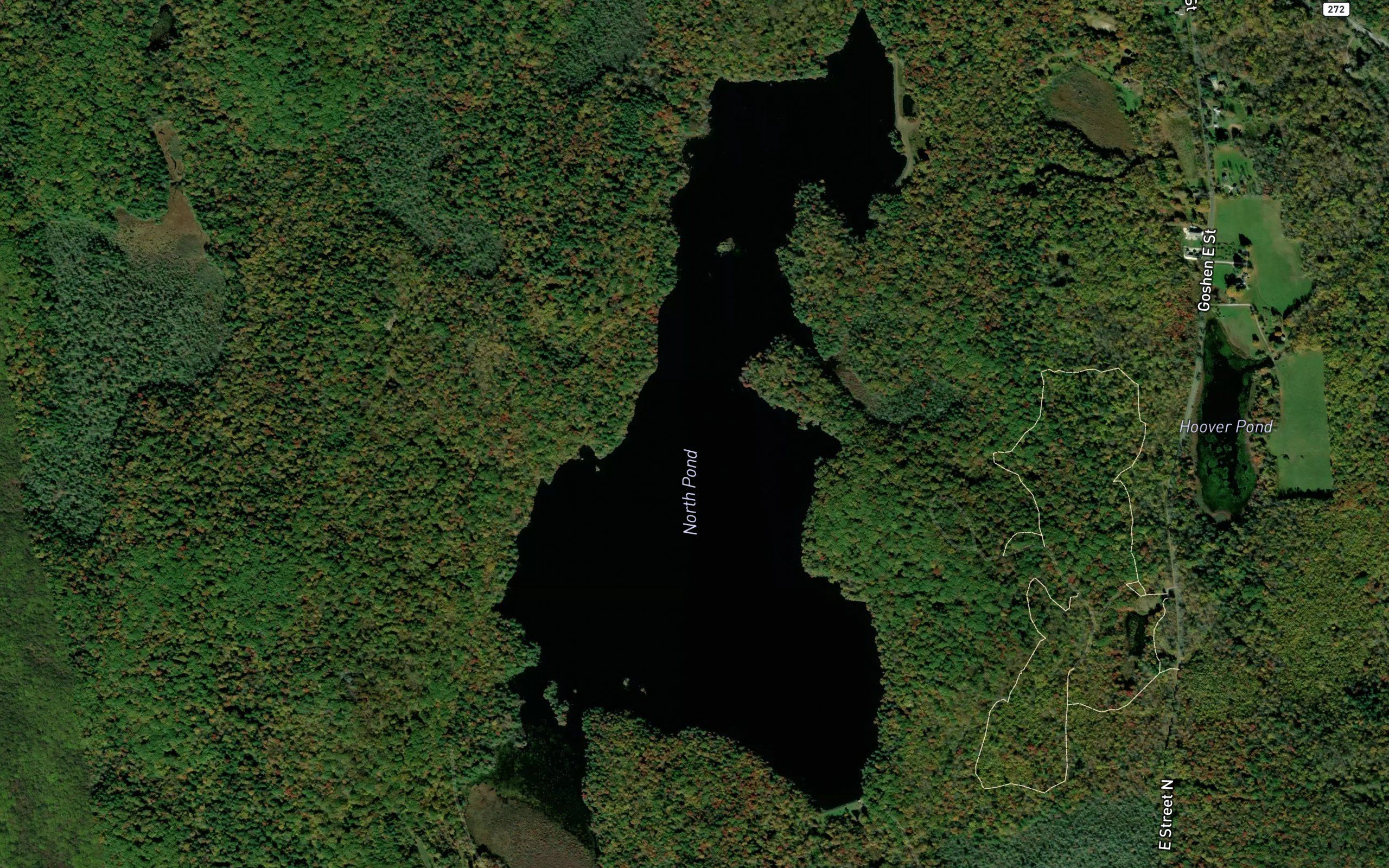 North Pond