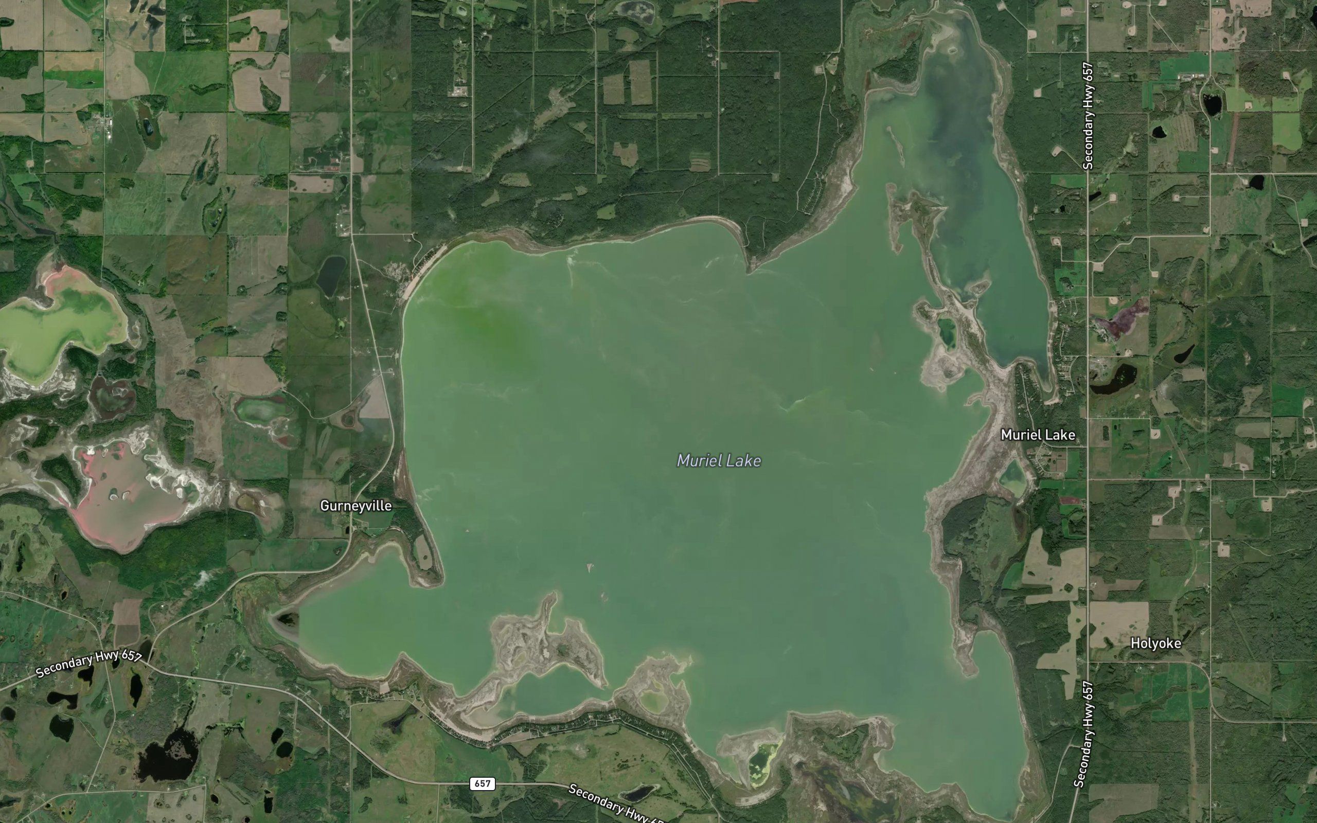 Muriel Lake