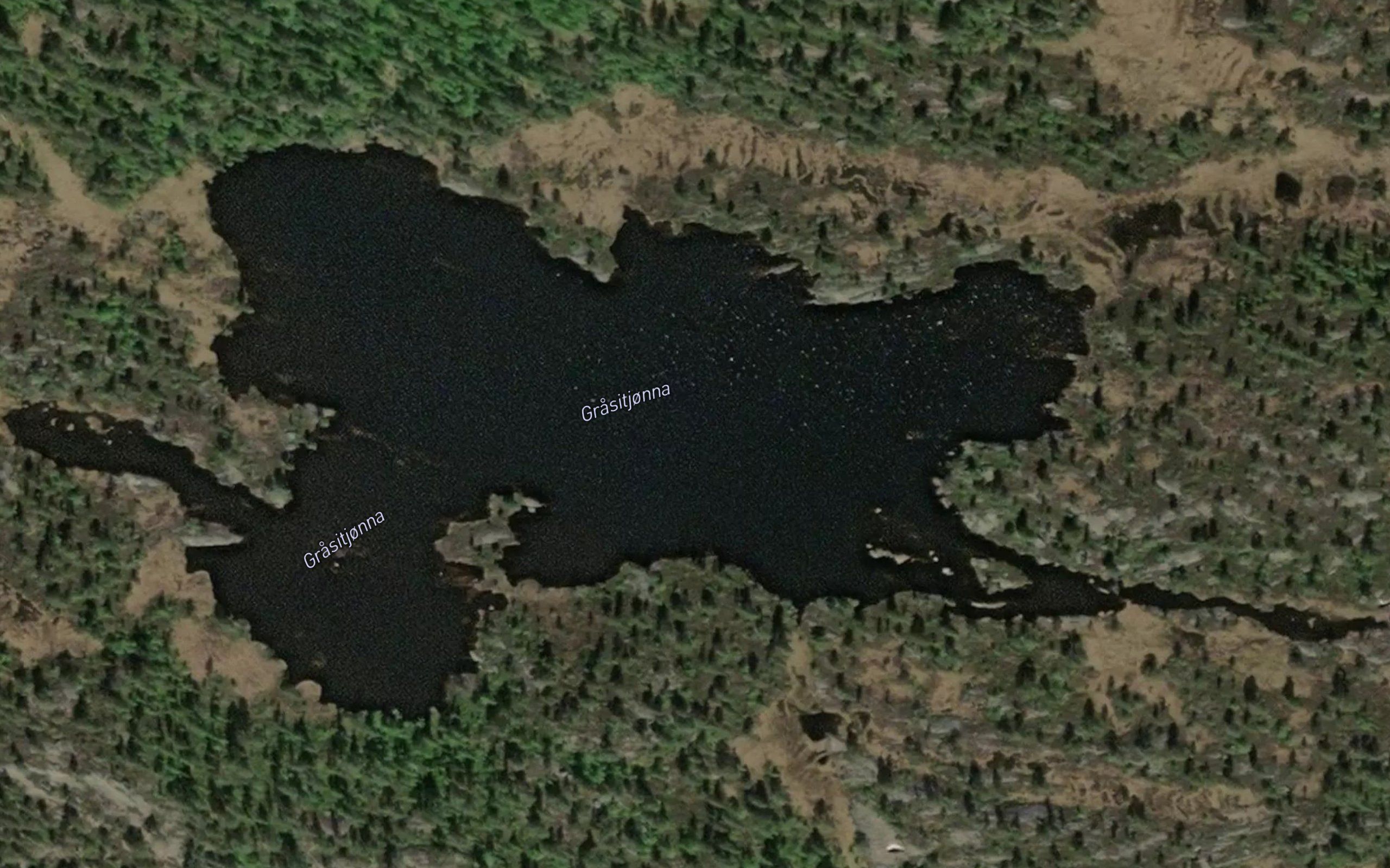 Grasitjonna