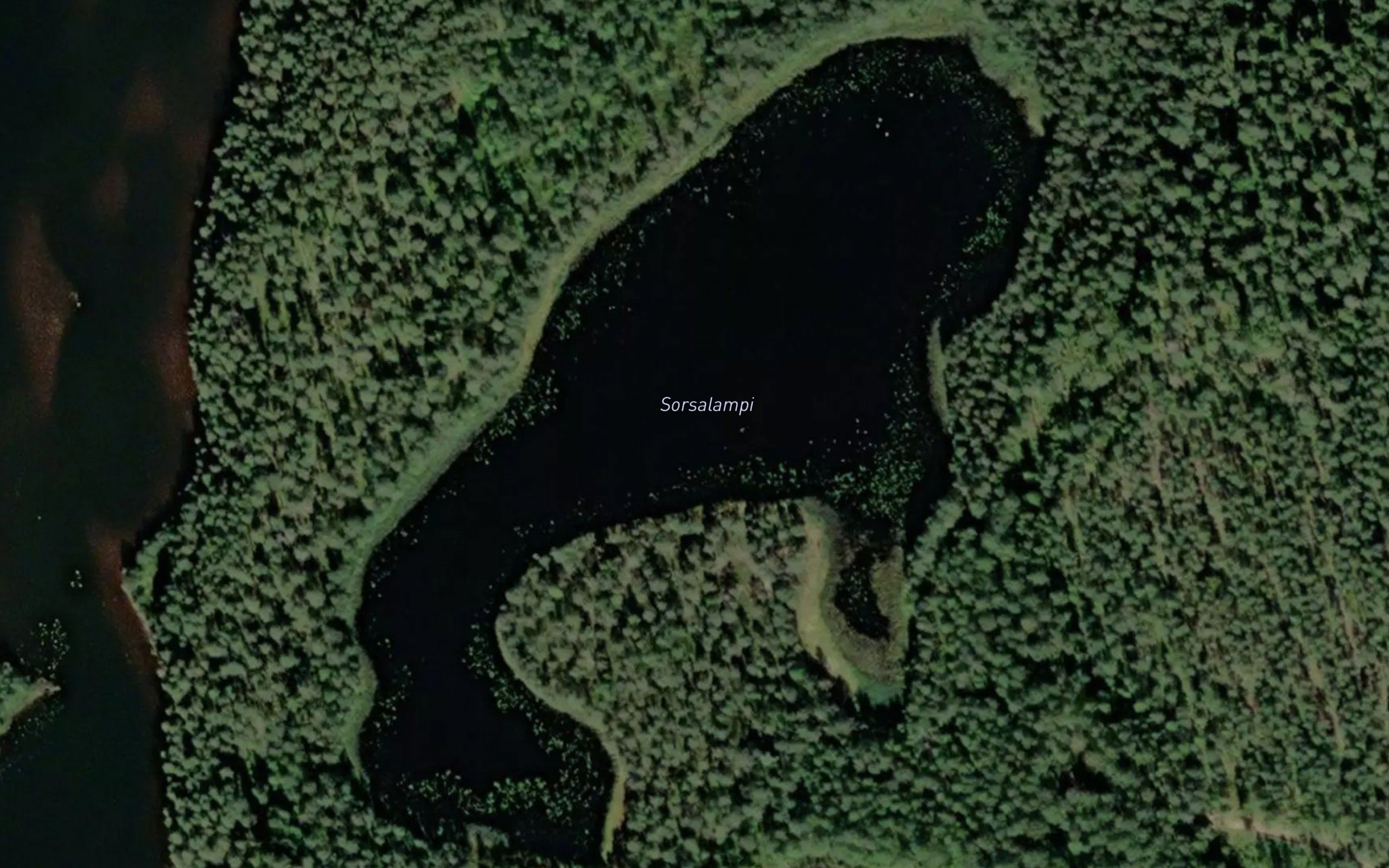 Sorsalampi