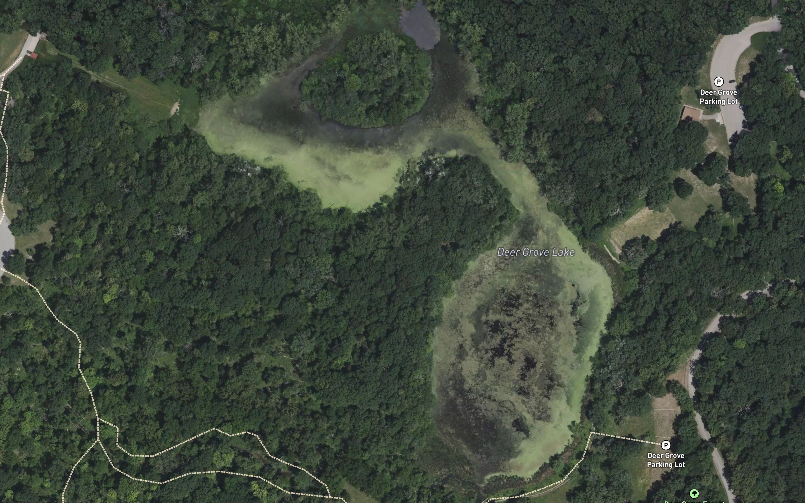Deer Grove Lake