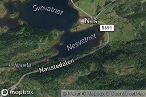 Nesvatnet