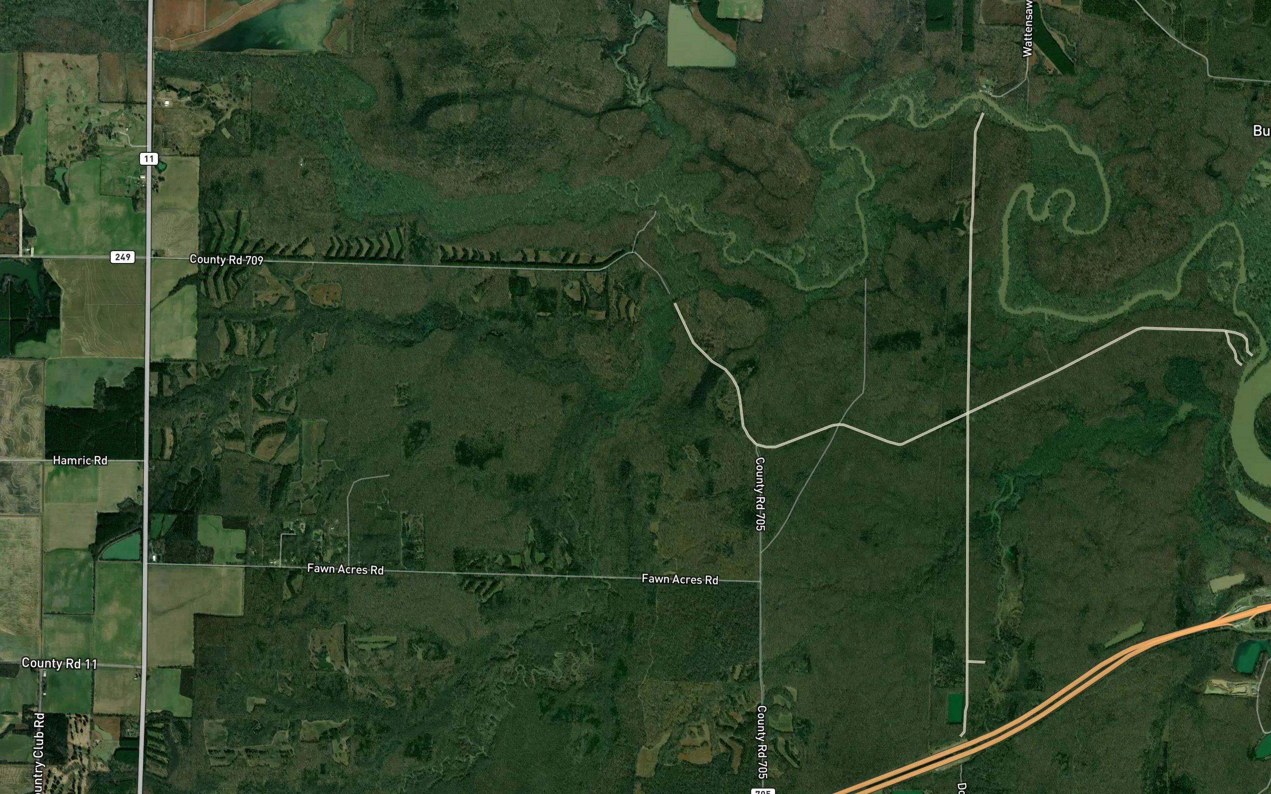Bell Branch