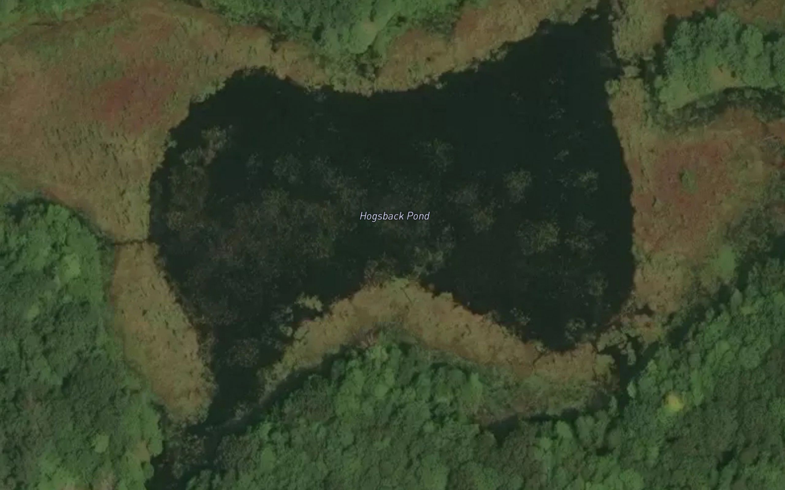 Hogsback Pond