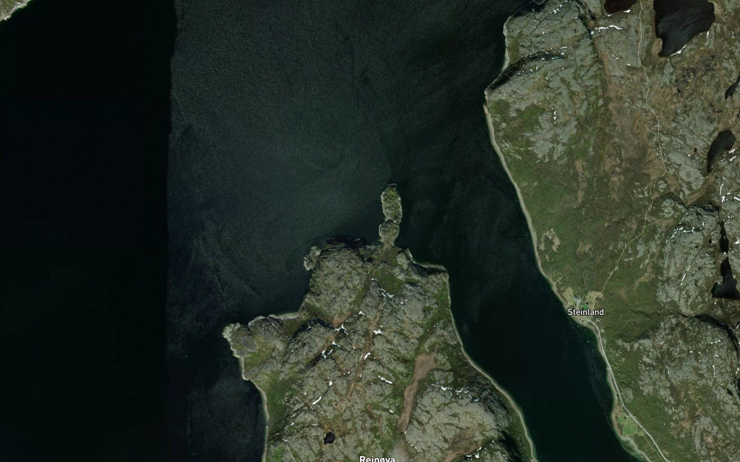Klubbukta