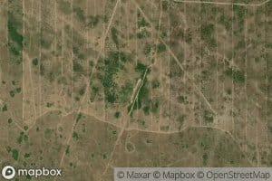 Cuatro de Julio Waterhole