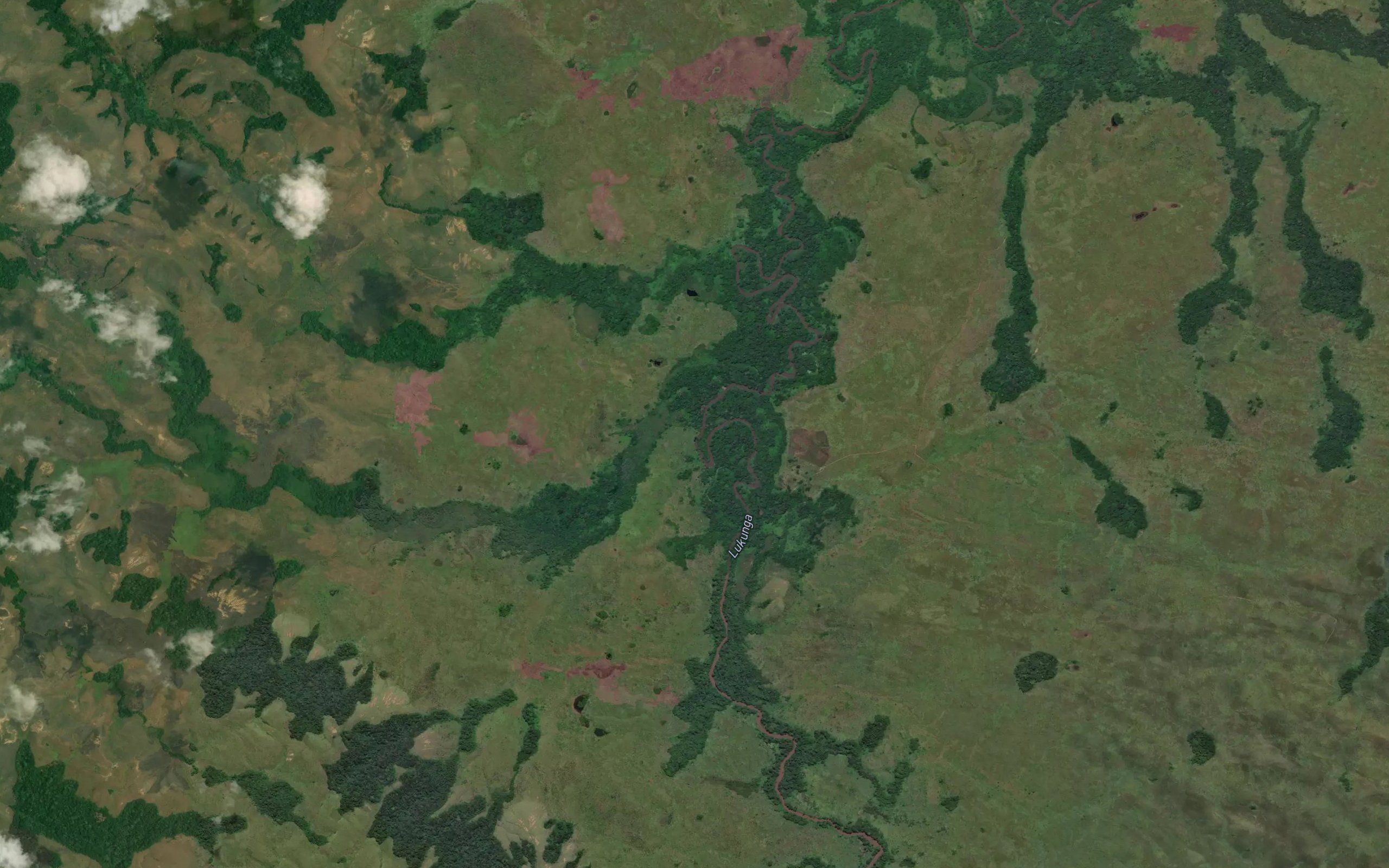 Nguimbo
