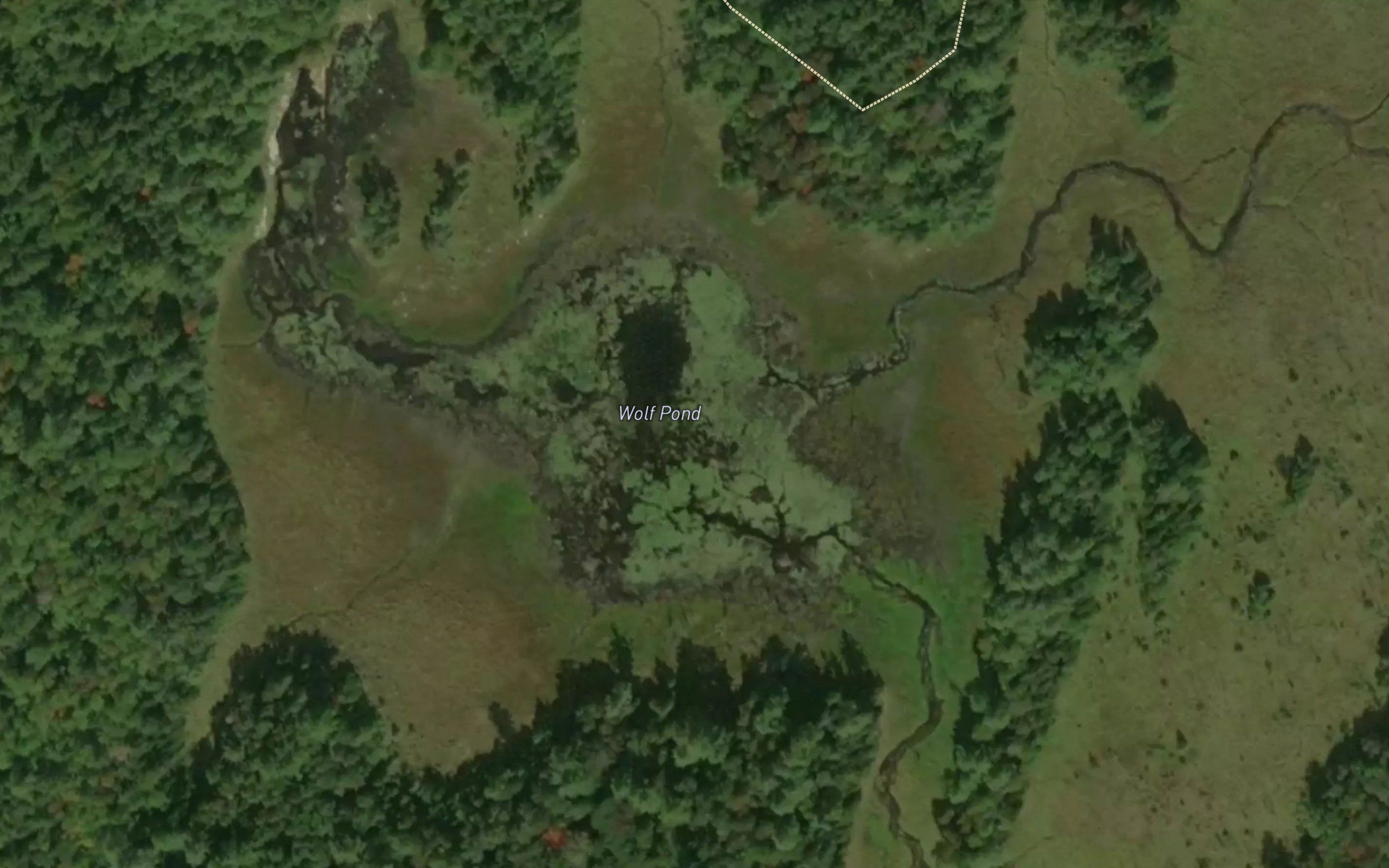 Wolf Pond
