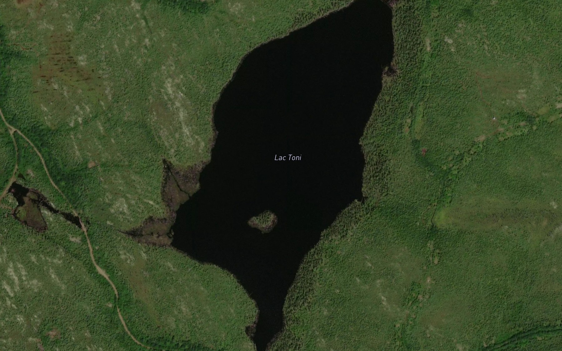 Satellite map of the Lac Toni