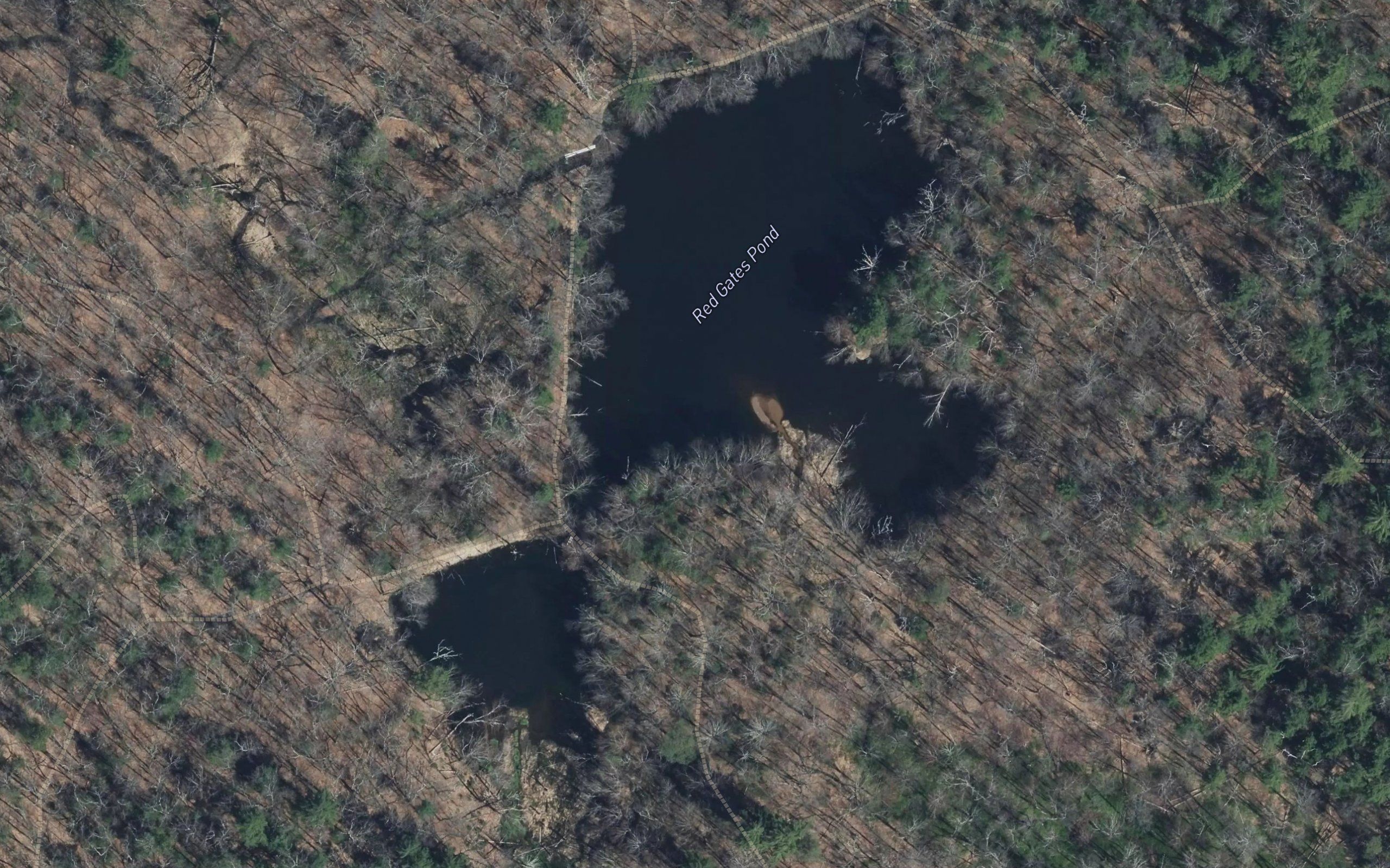 Red Gates Pond