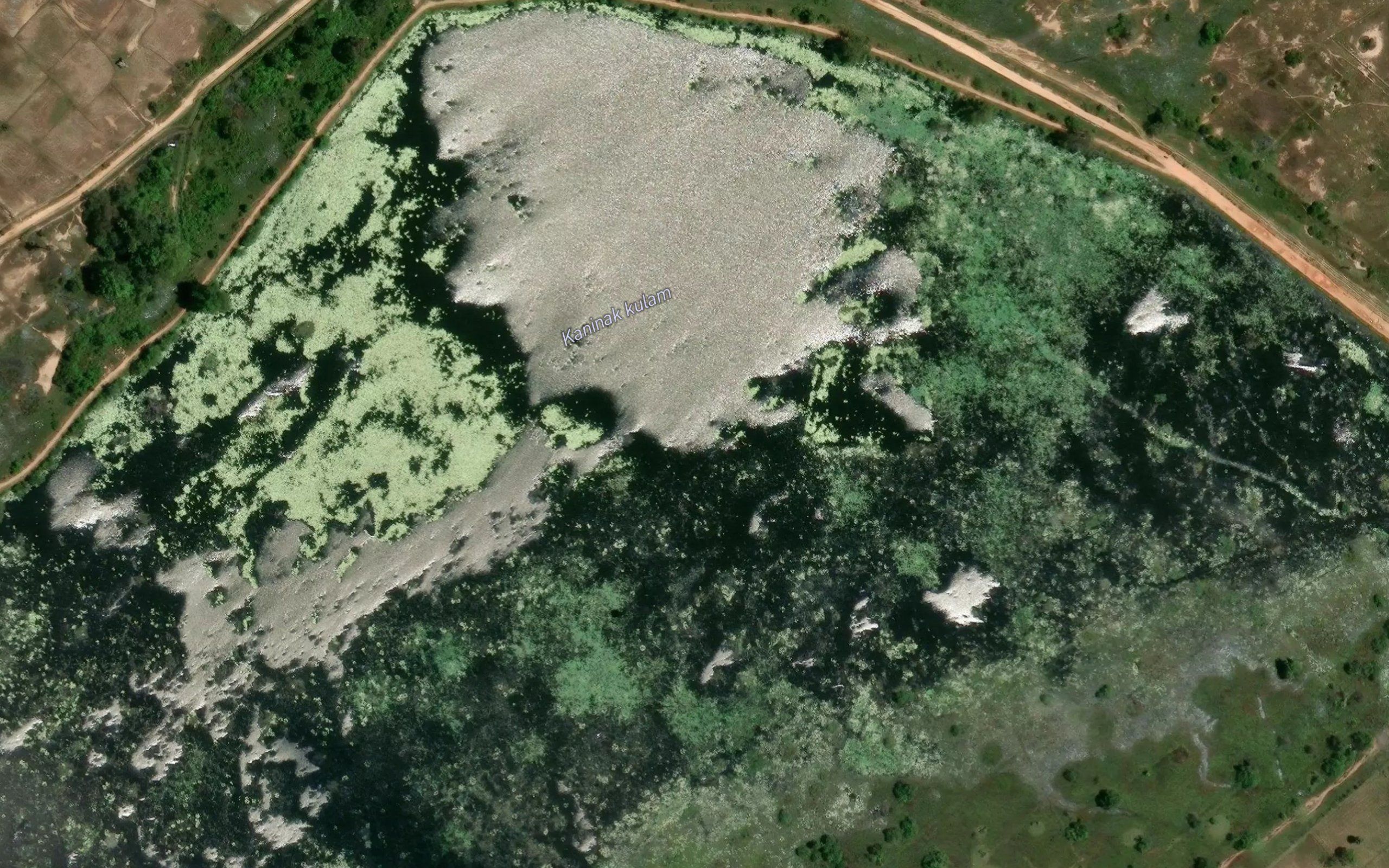Kananik Kulam