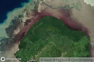 Northern Mangrove Swamp