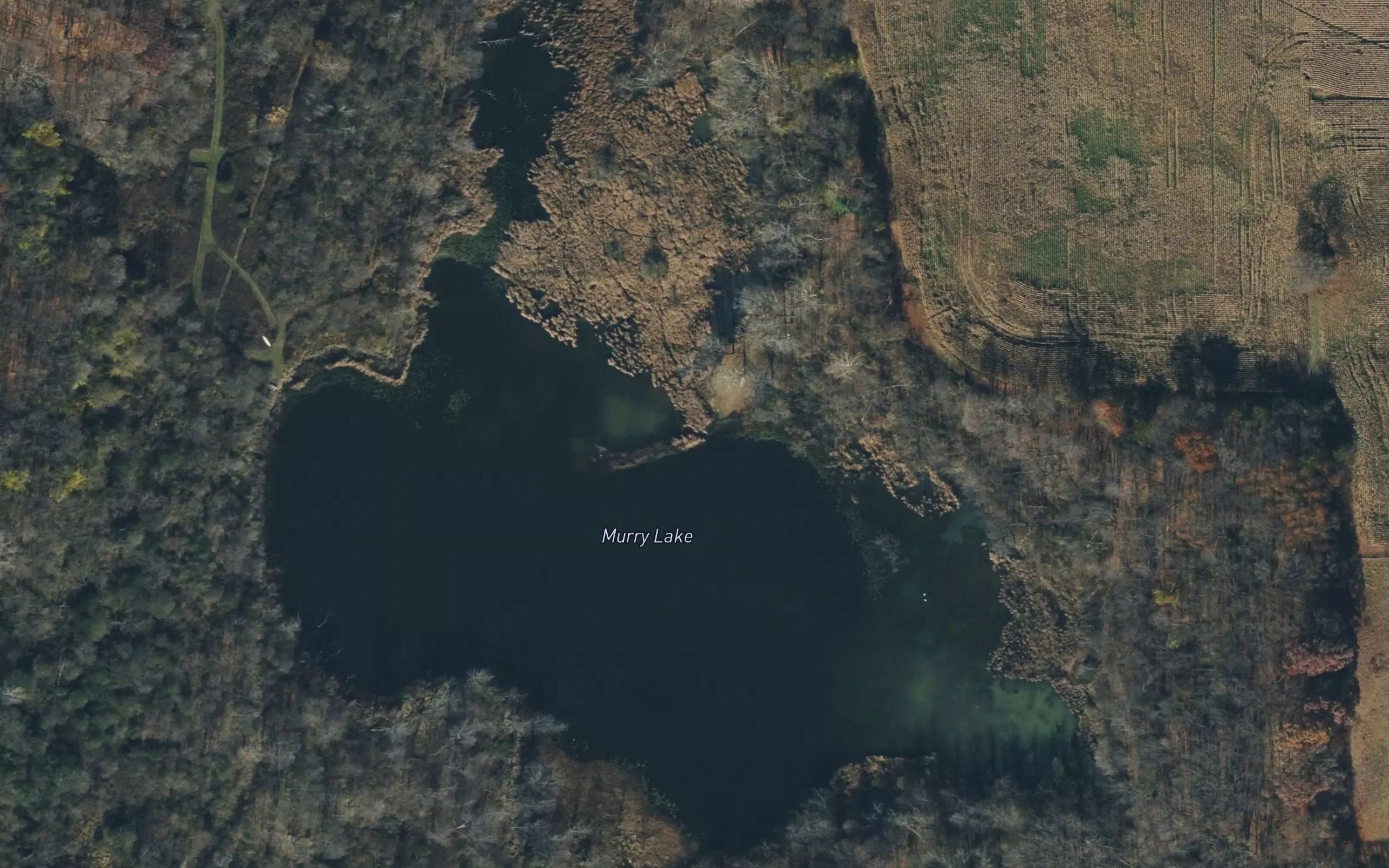 Murry Lake