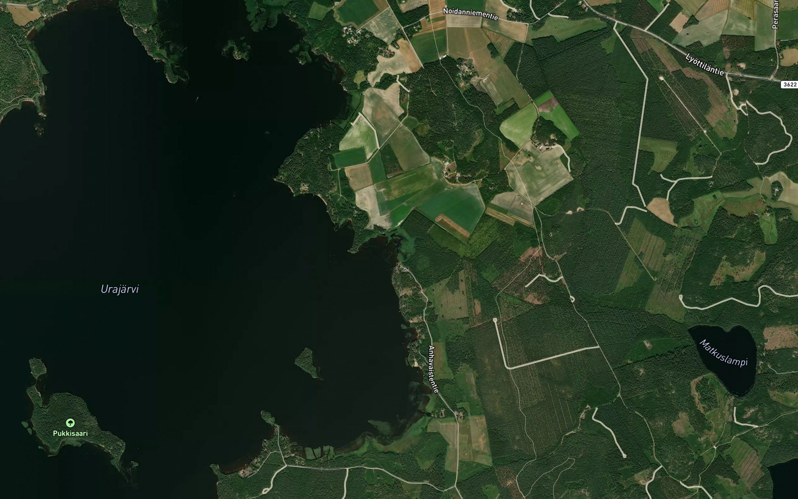 Muuroja