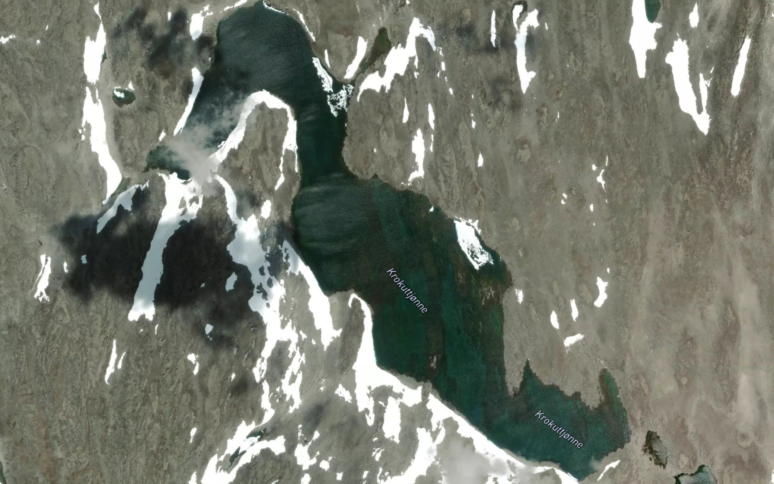 Krokuttjorni