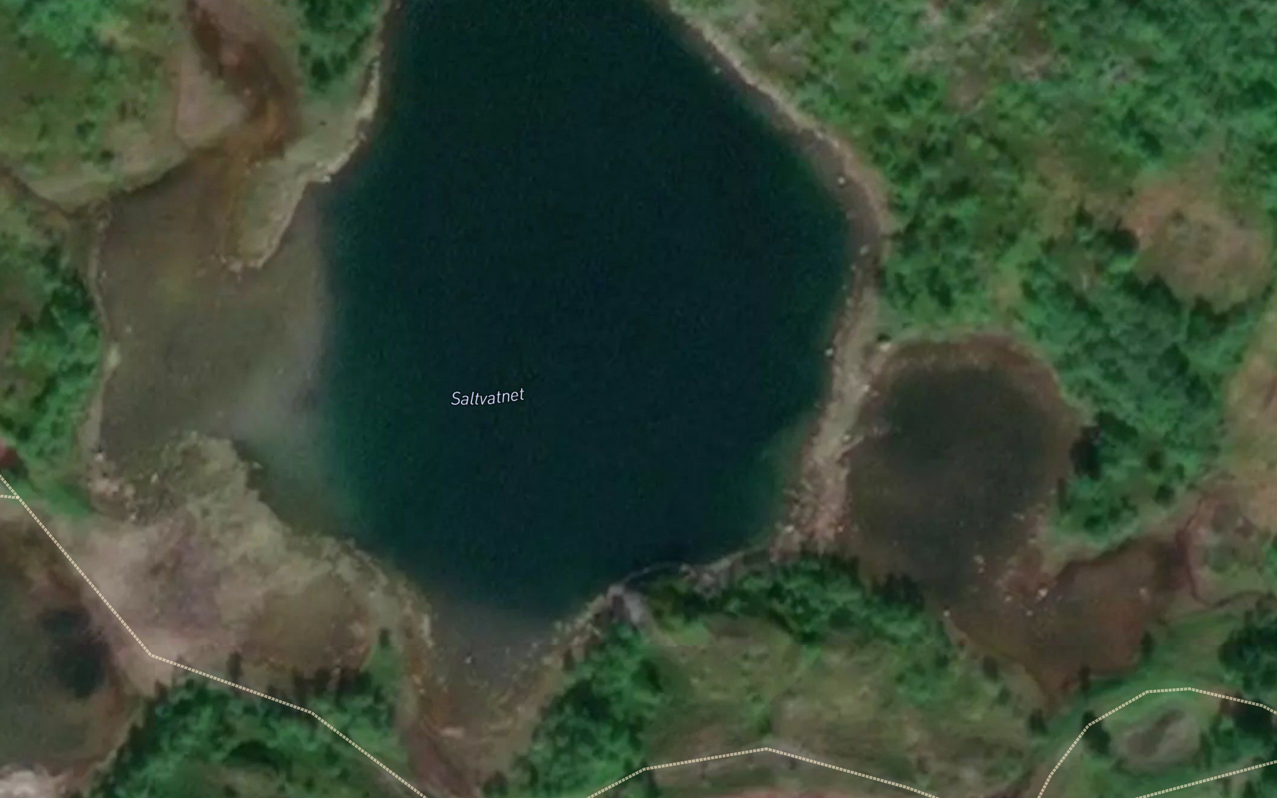 Saltvatnet