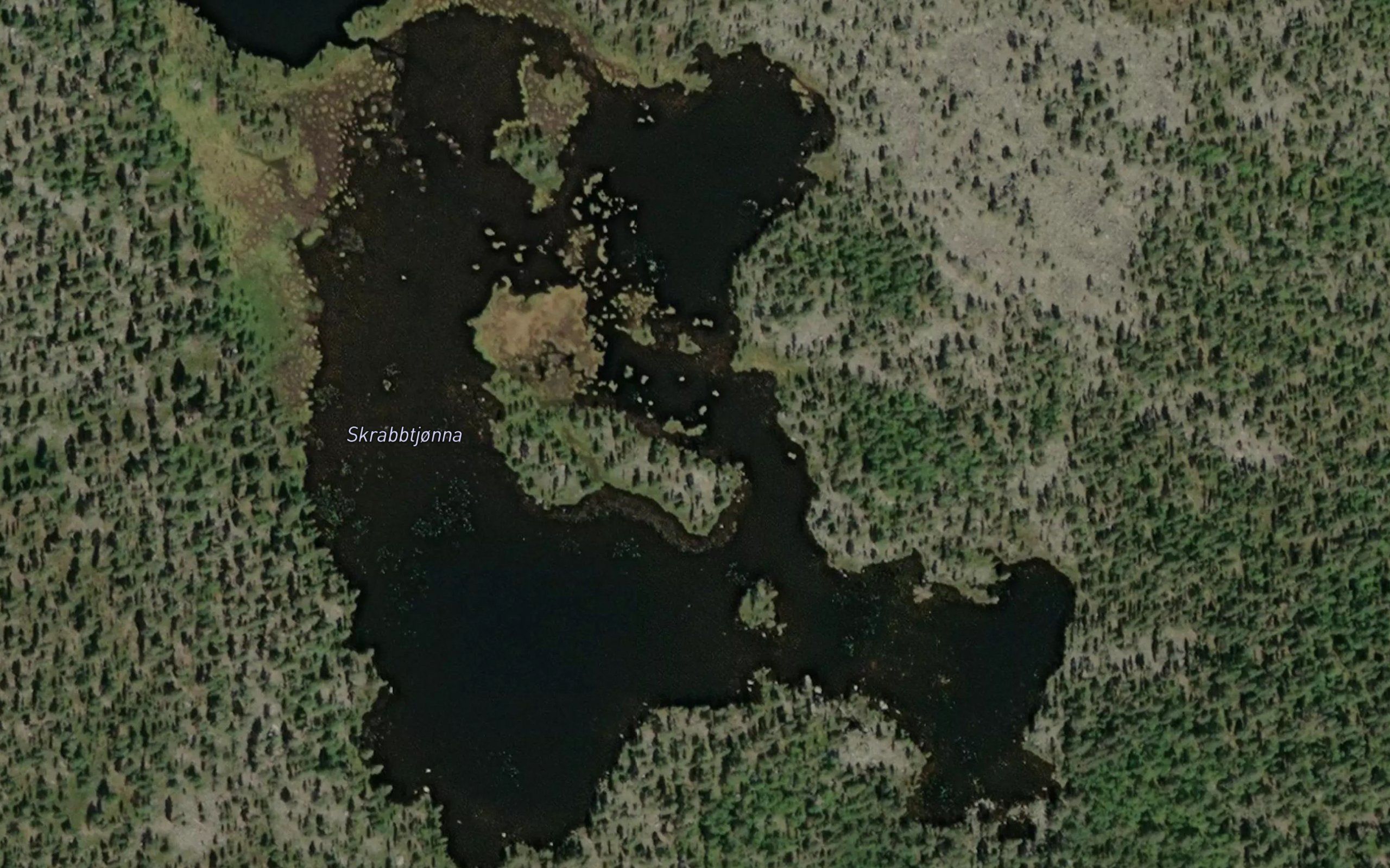 Skrabbtjorna