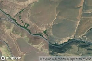 Pioneer Spring