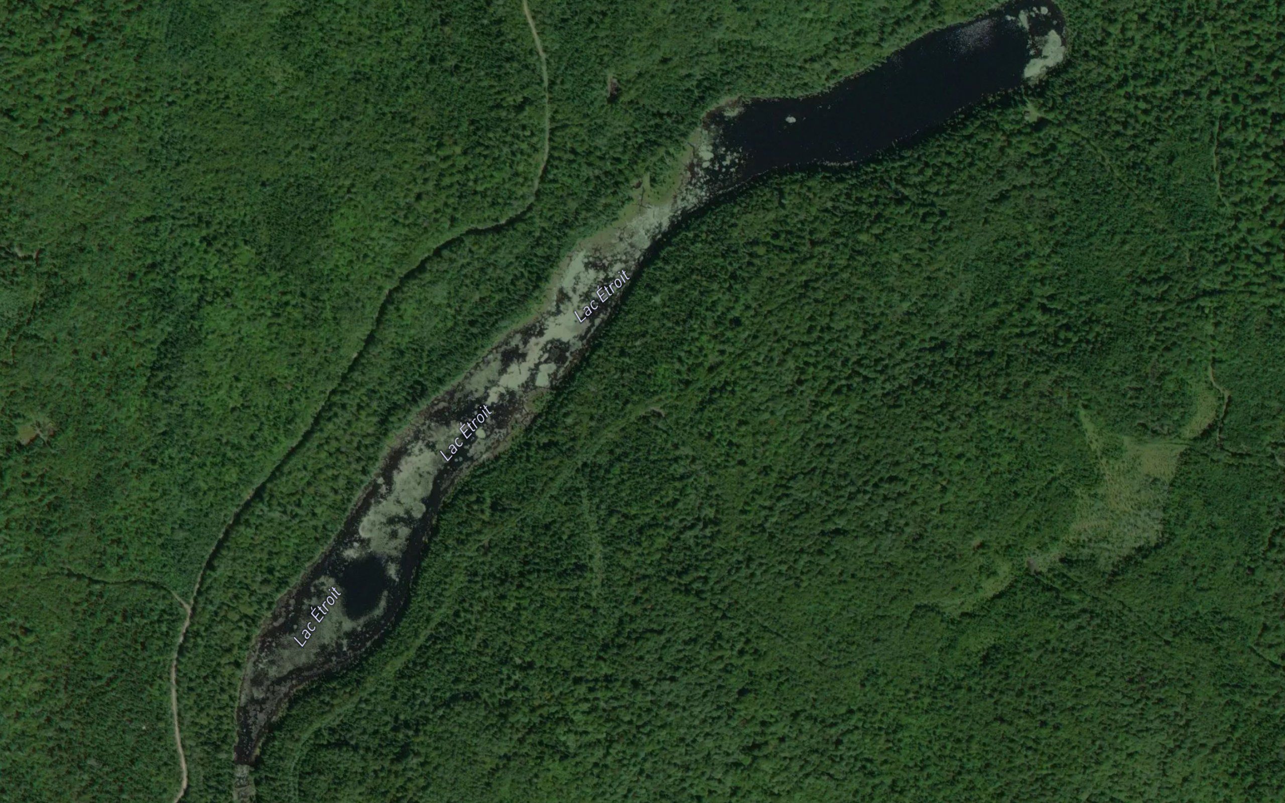 Lac Etroit