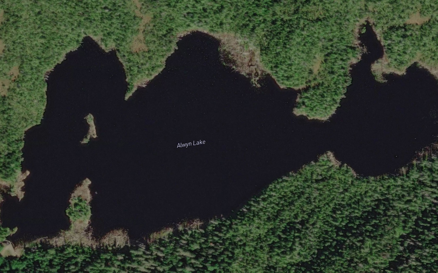 Satellite map of the Alwyn Lake
