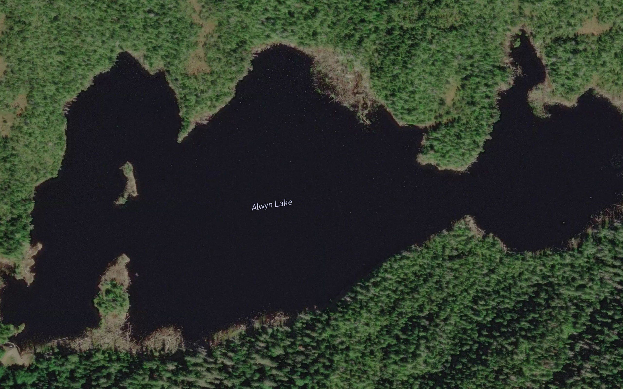 Alwyn Lake