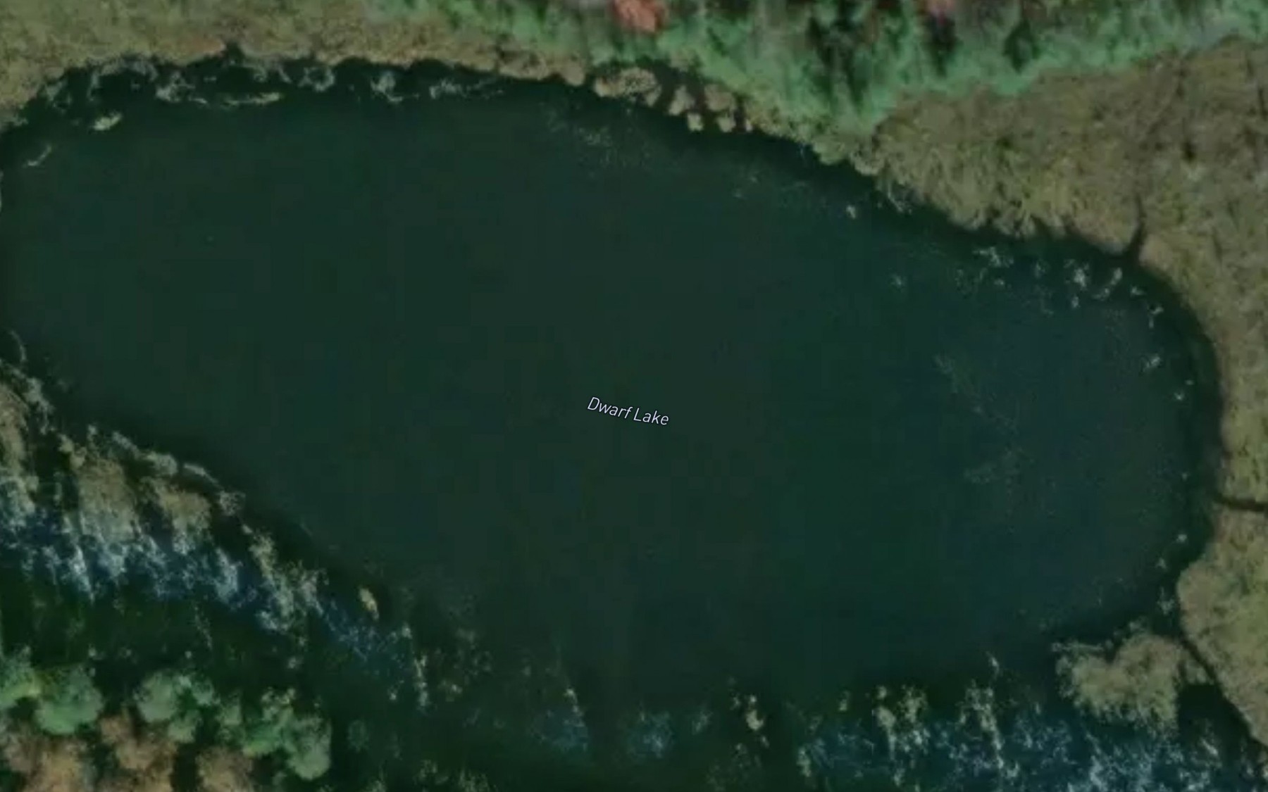 Satellite map of the Dwarf Lake