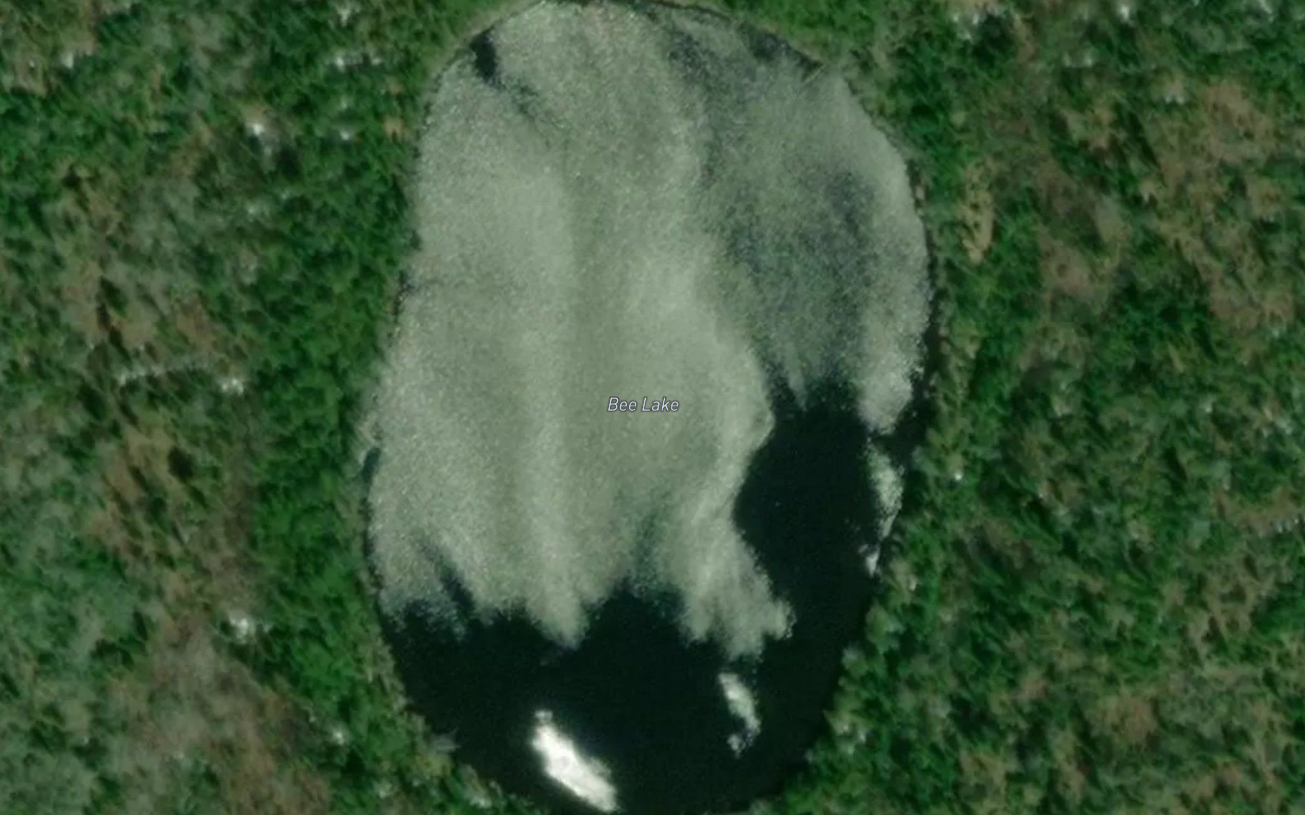 Bee Lake