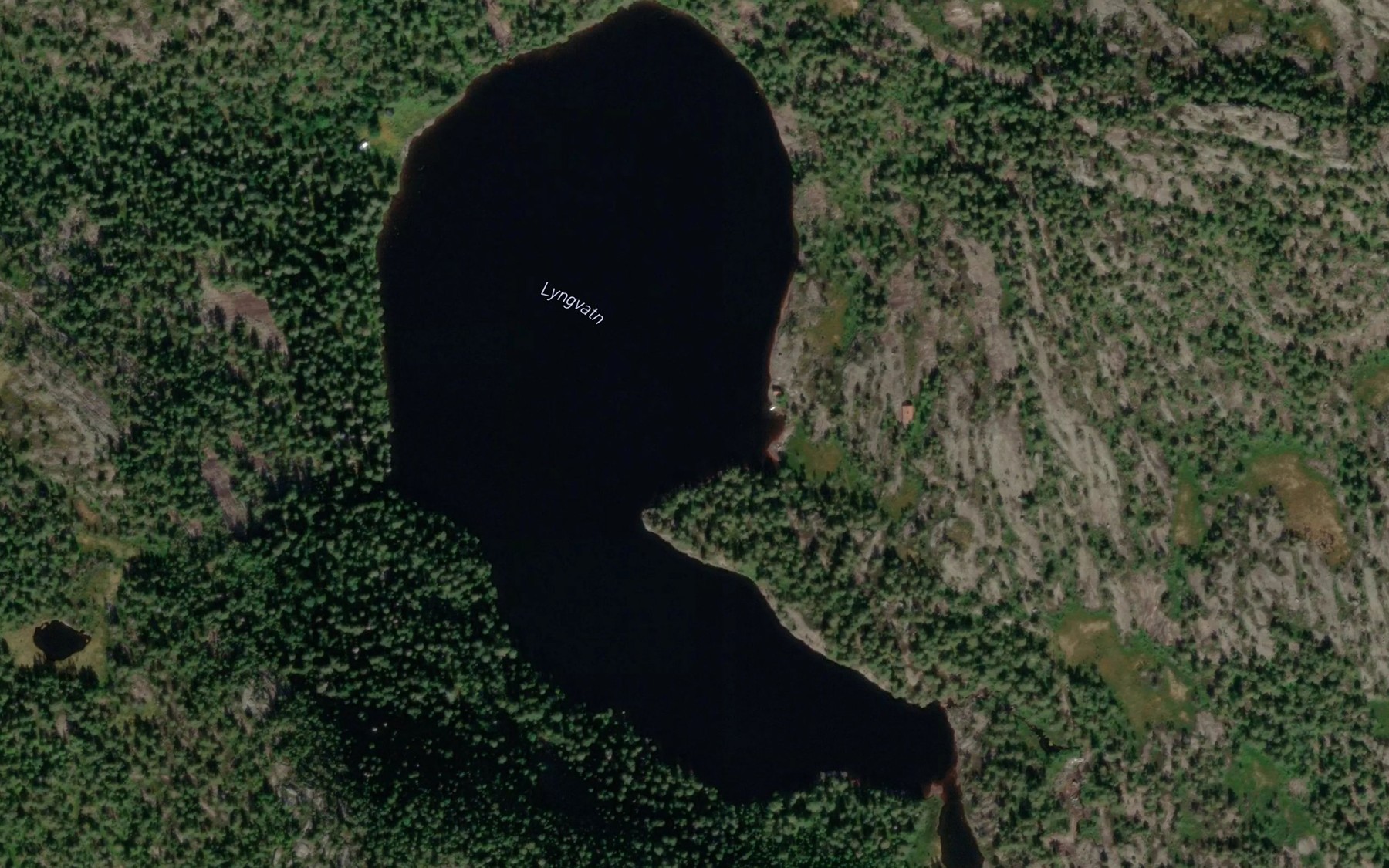 Satellite map of the Lyngvatn