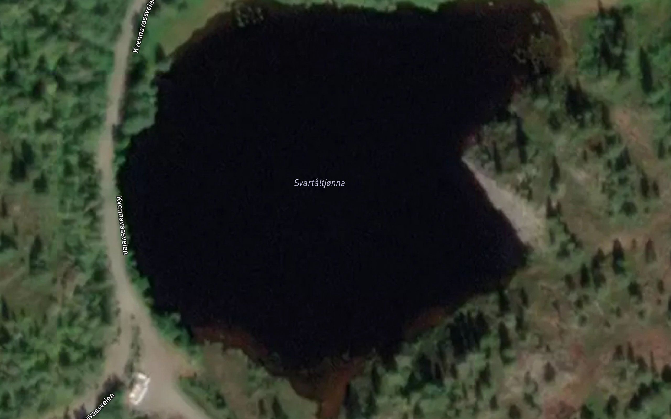 Svartaltjorna