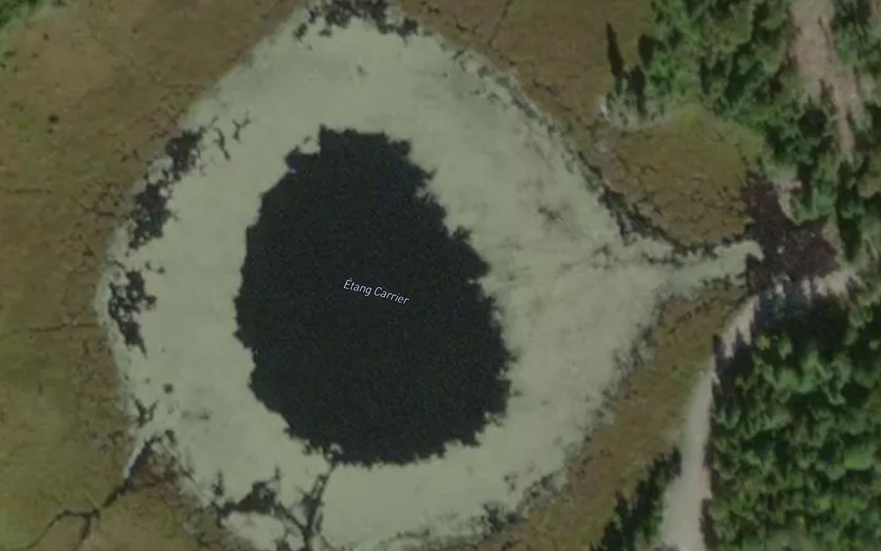 Satellite map of the Etang Carrier