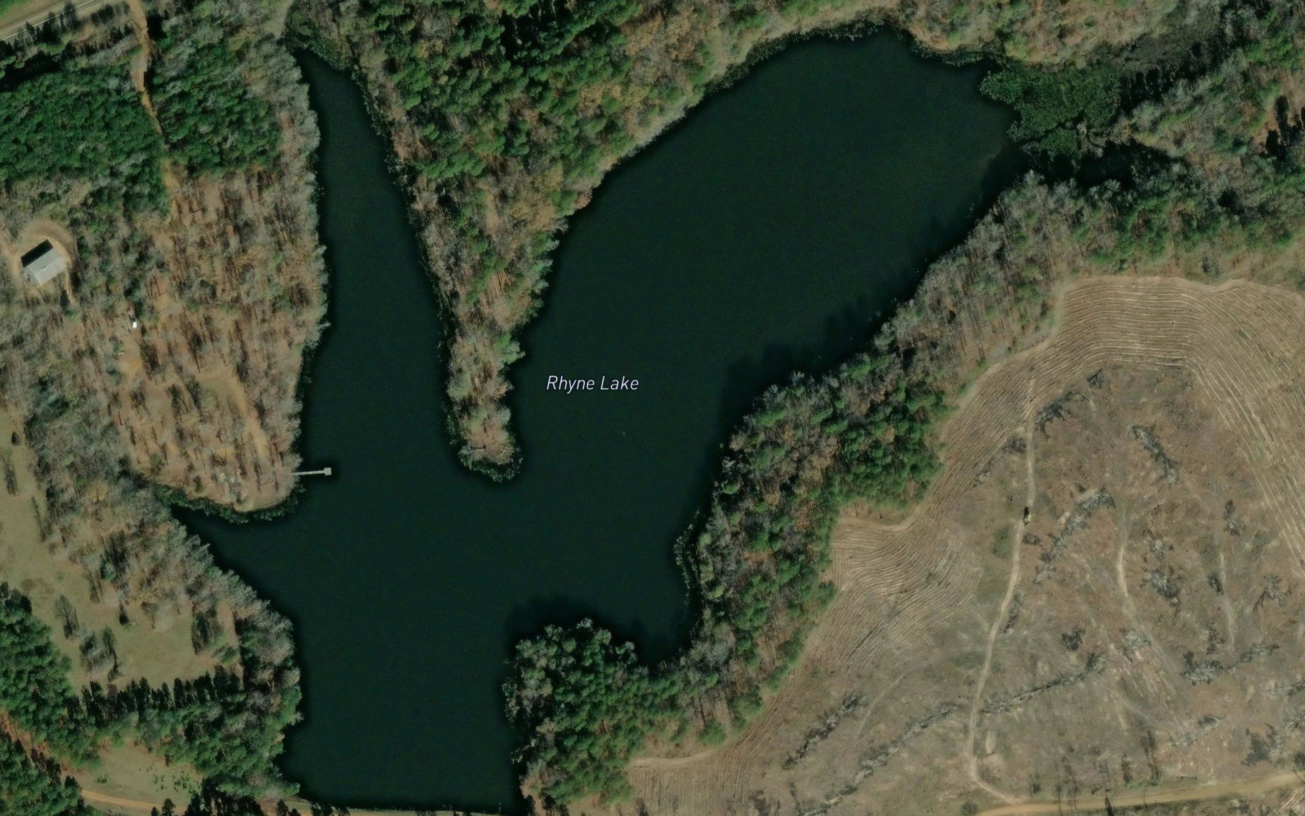 Rhyne Lake