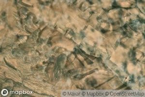 Cheshmeh-ye `Ali Yurd