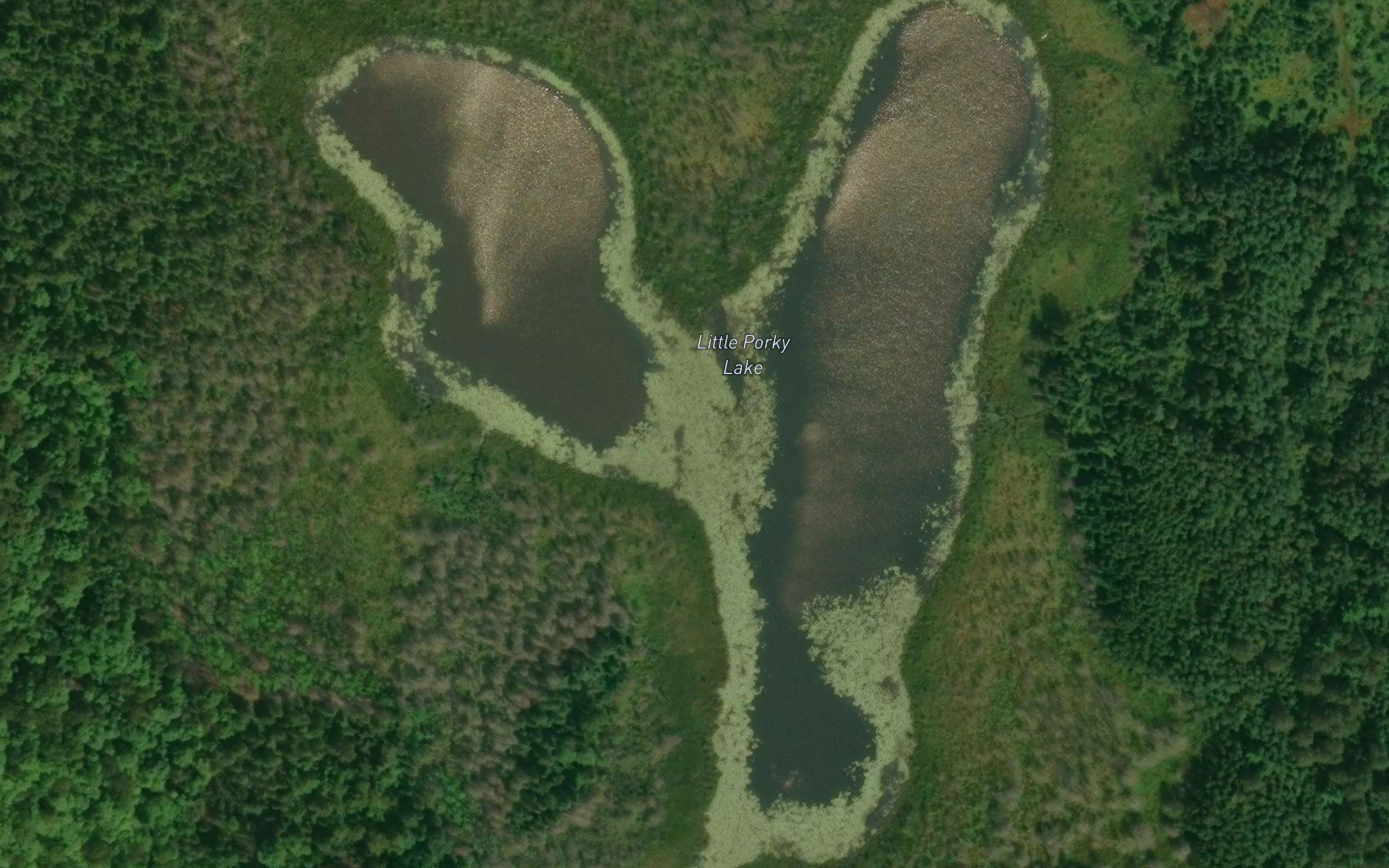 Little Porky Lake