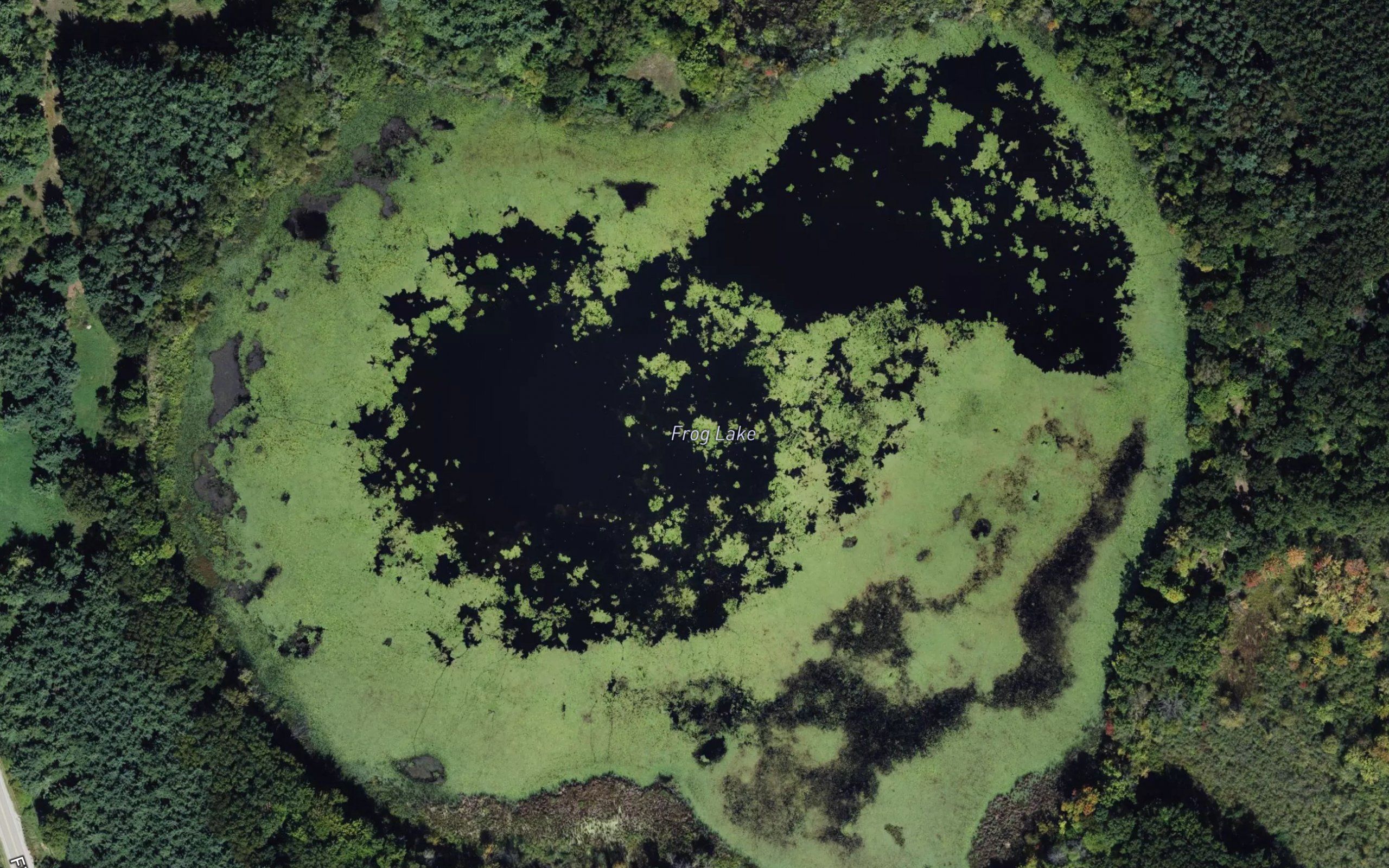 Frog Lake