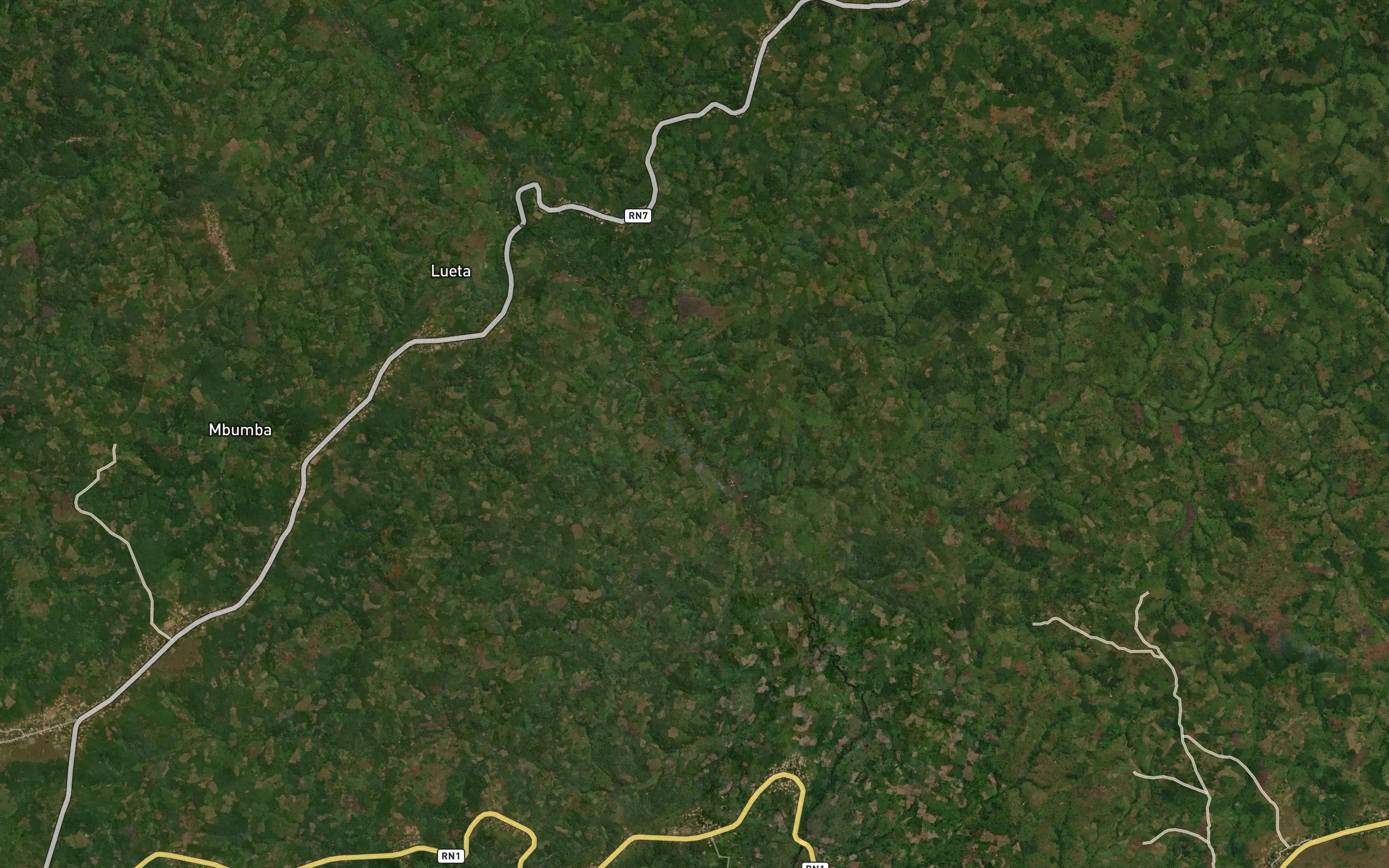 Kaniengele