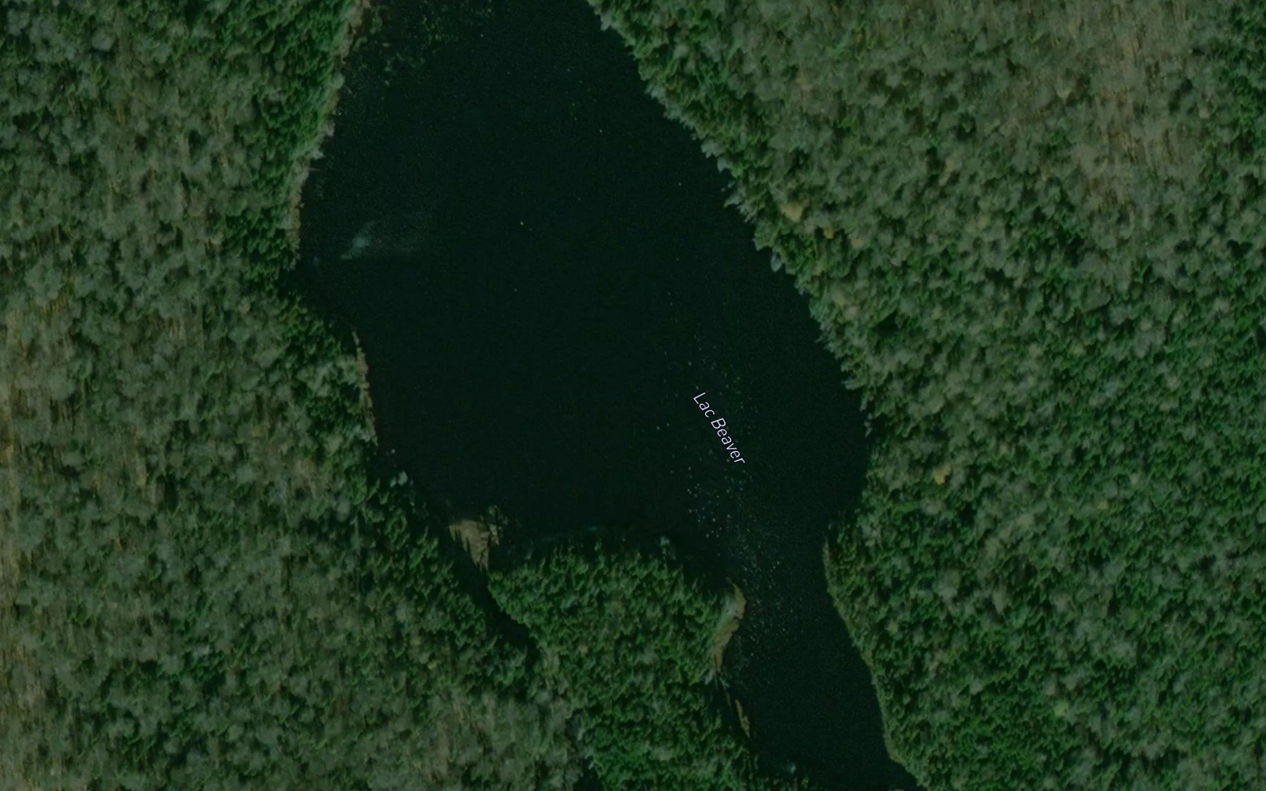 Lac Beaver