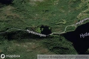 Leitetjorna