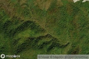 Hickory Mountain Branch