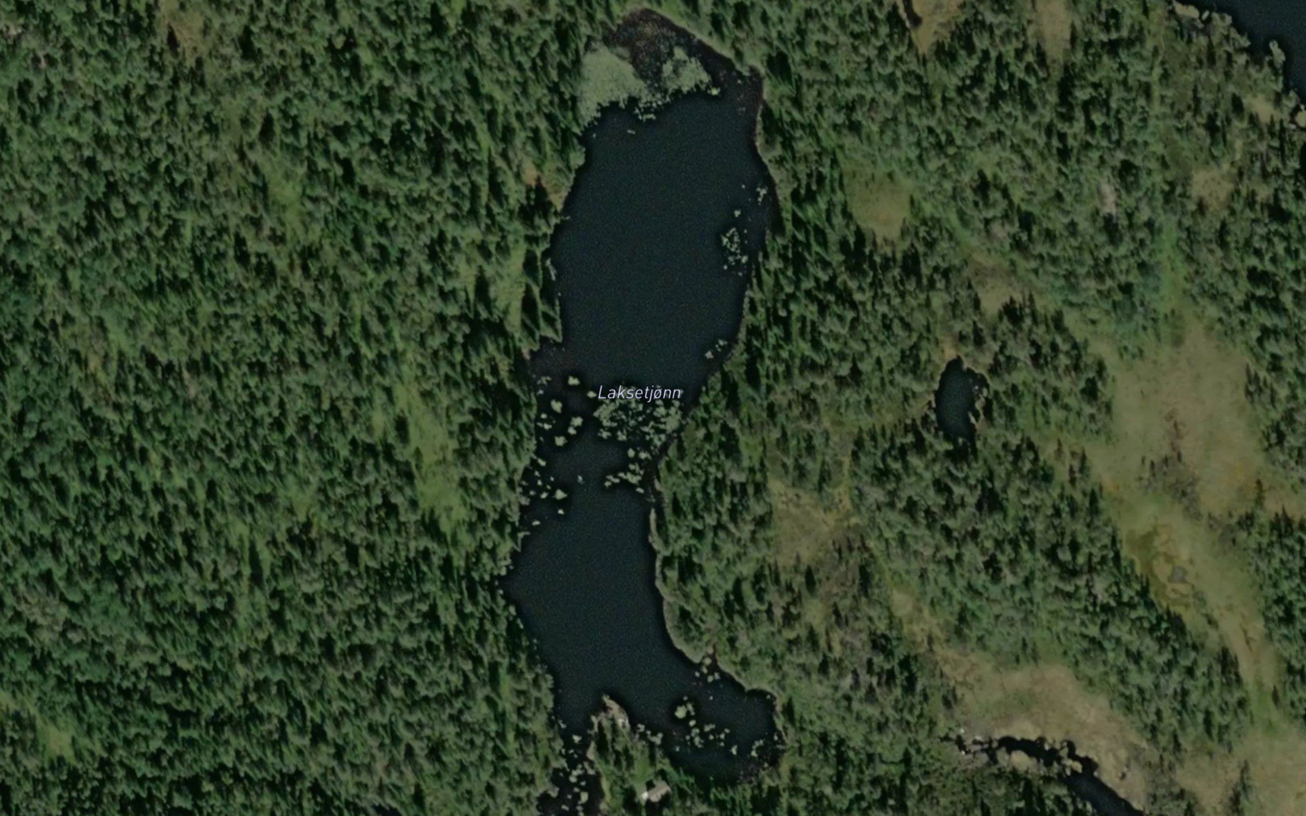 Laksetjonn