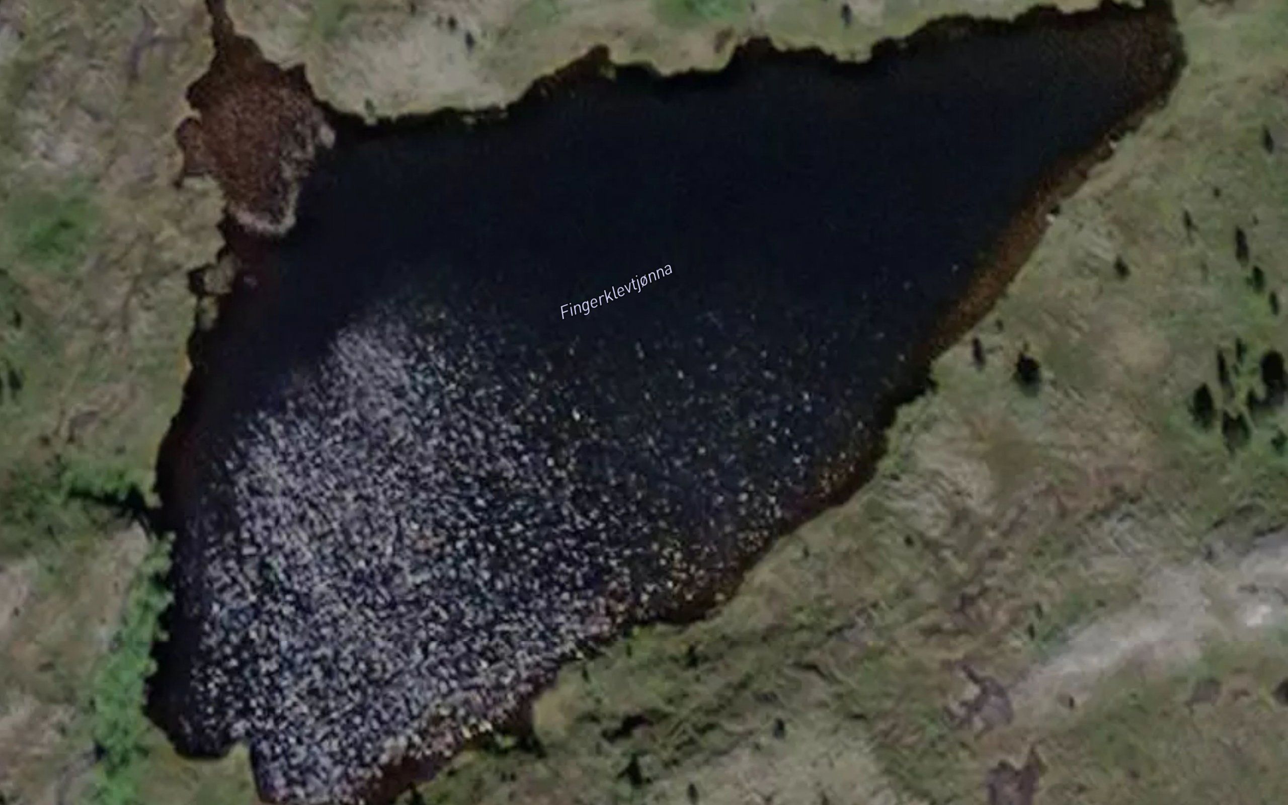 Fingerklevtjonna