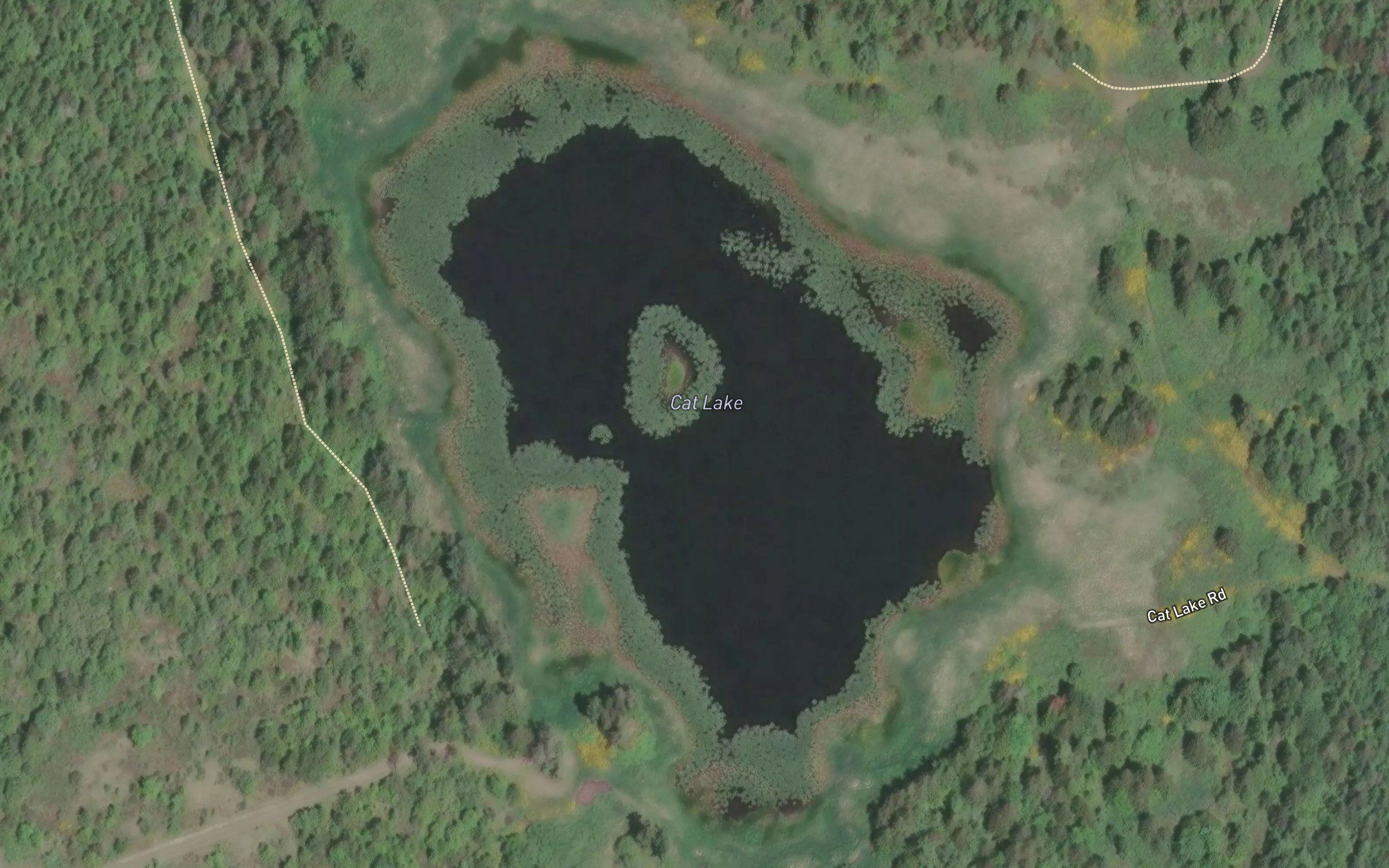 Cat Lake