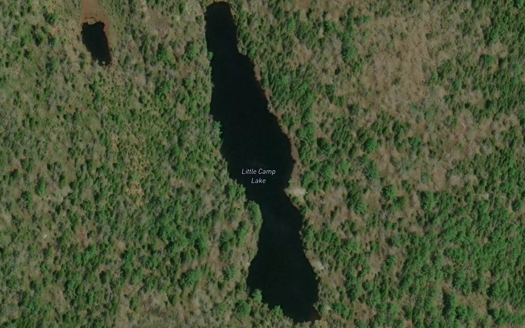 Satellite map of the Little Camp Lake