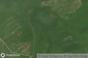 Chernushka