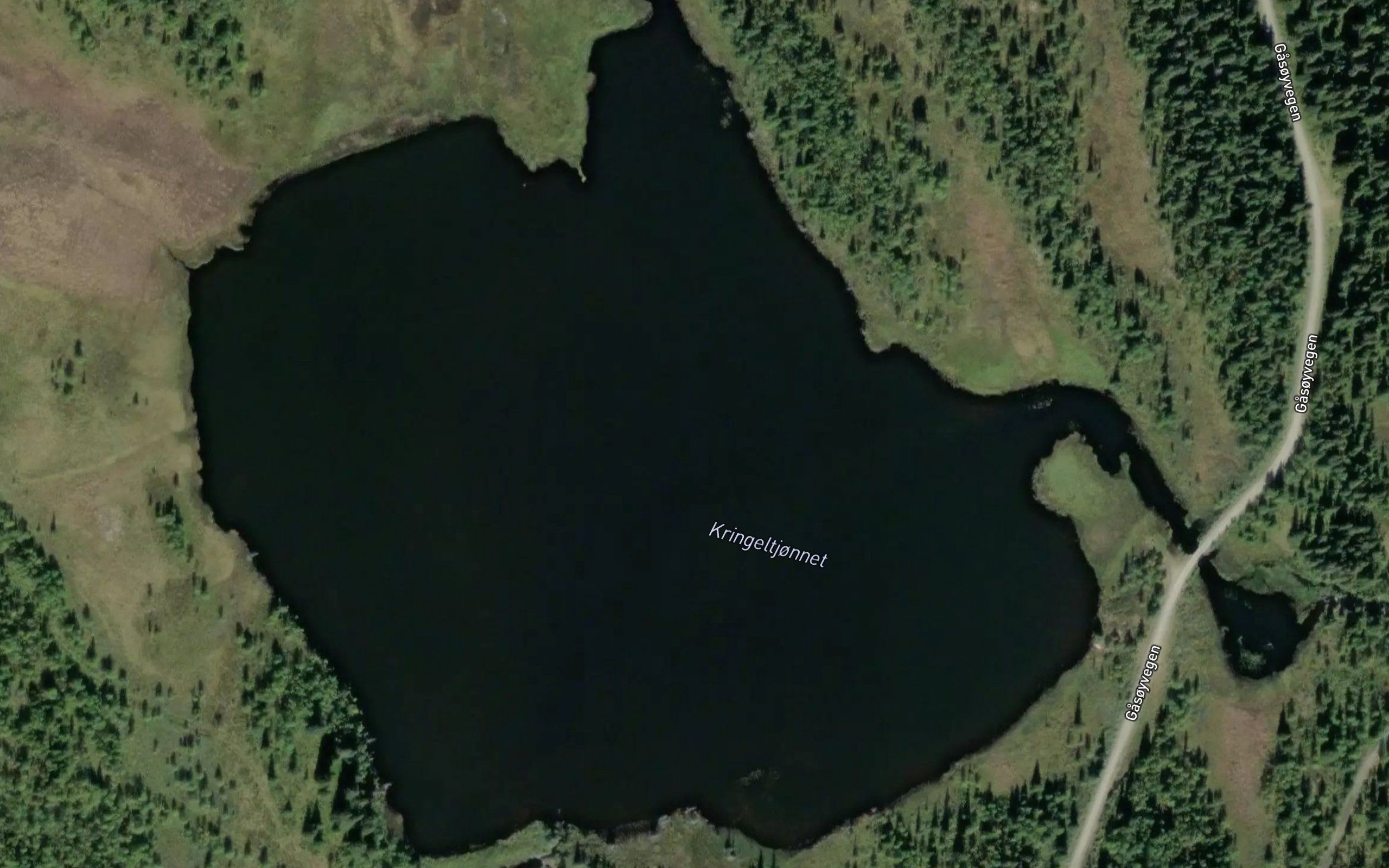 Kringeltjernet