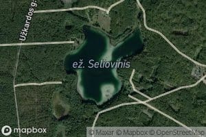 Ezeras Seliovinis