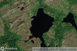 Lauvtjorna