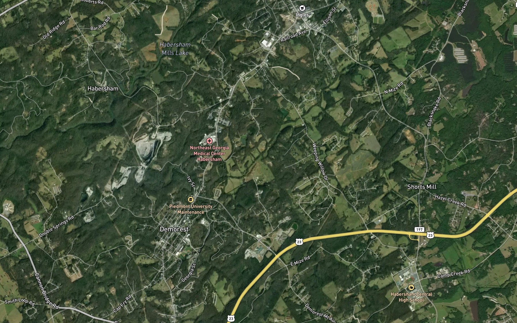 Satellite map of the Lick Log Creek